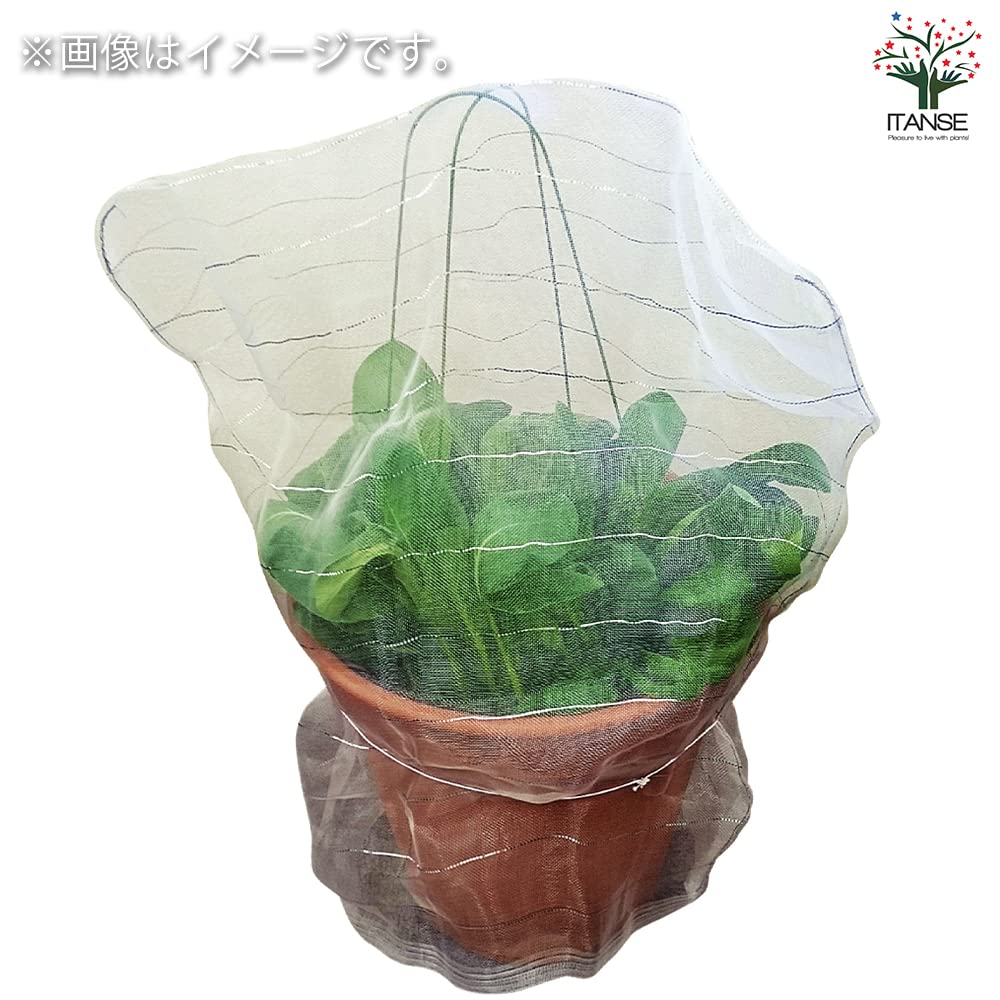 防虫ネット　セット　丸鉢用 Amazon.co.jp: 防虫ネットセット 丸鉢用 1個売り【用途で選べる用品